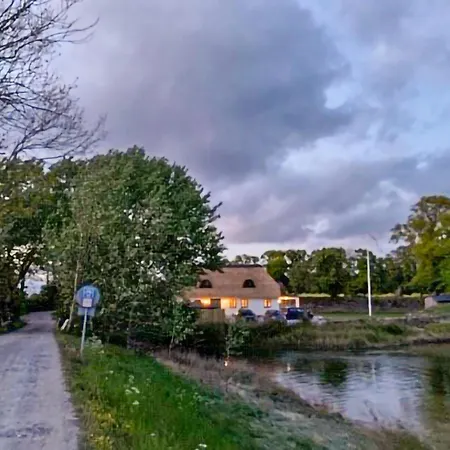 Feriehus Fantastisk Hjem I Med Sauna *